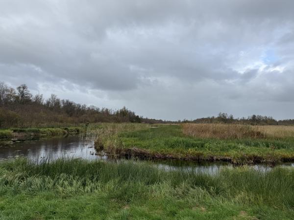 The Rottige Meente nature reserve